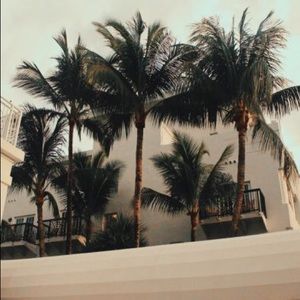 • THANK YOU & WELCOME 🌟